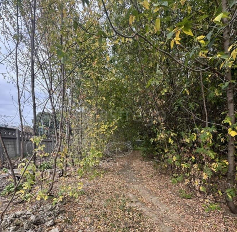 Коммерческий участок, 41 сотка Подольск - изображение 7