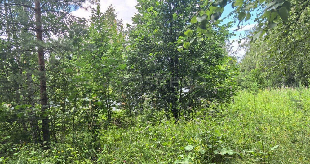 Земельный участок, 14.88 сотки Чишмы - изображение 7