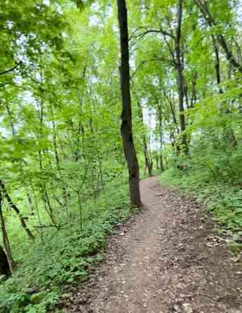 Земельный участок, 21 сотка Пущино