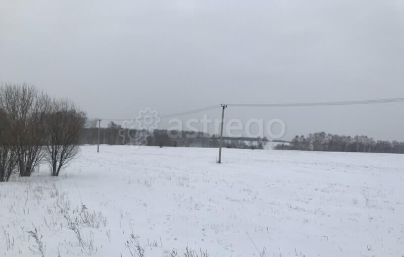 Земельный участок, 10 соток Емельяново - изображение 3