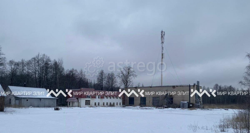 Земельный участок, 2.1 га Санкт-Петербург - изображение 5