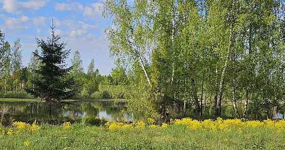 Земельный участок, 11.5 сотки Шаховская