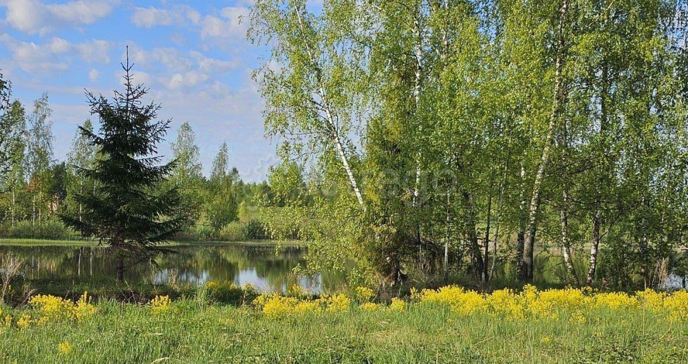 Земельный участок, 11.5 сотки Шаховская - изображение 2