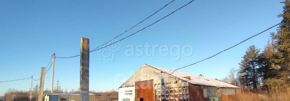 Коммерческий участок, 3.24 га Котлас - изображение 7