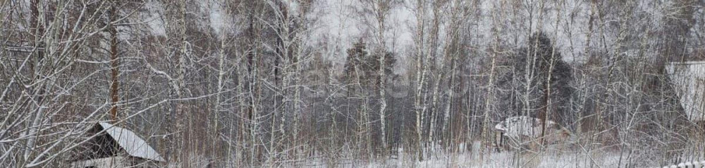 Земельный участок, 6 соток Красноярск - изображение 7