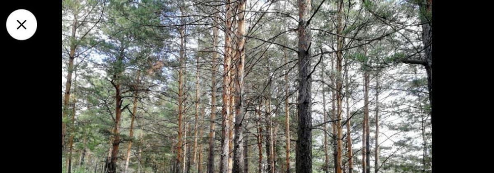 Коммерческий участок, 39 соток Барнаул - изображение 3