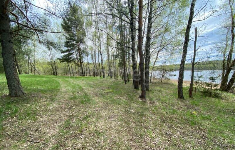 Земля с/х назначения, 9.6 га Руза - изображение 3