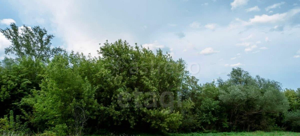 Земельный участок, 18.5 сотки Алтайское - изображение 5