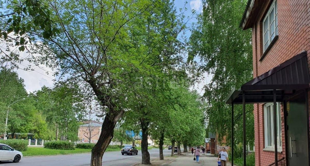 Торговое помещение, 63.2 м2 Барнаул - изображение 1