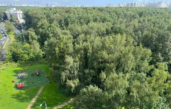 2-комн. квартира, 53.5 м2, 11/16 эт. Москва