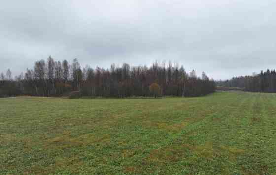 Земля с/х назначения, 133 га Можайск