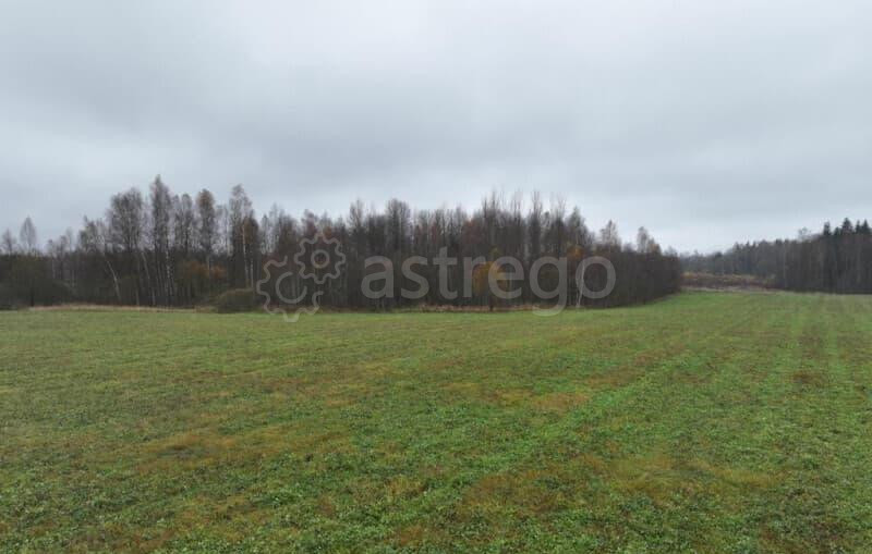 Земля с/х назначения, 133 га Можайск - изображение 4