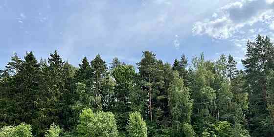 Земельный участок, 7 соток Пушкино