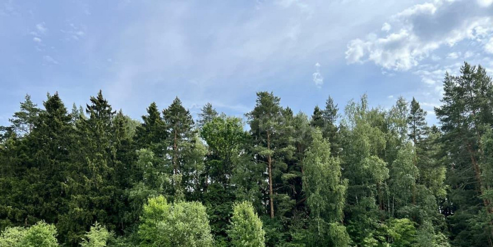 Земельный участок, 7 соток Пушкино - изображение 4