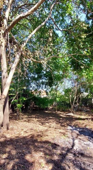 Дом, 32.4 м, 5.3 сотки, 1 эт. Майкоп - изображение 6