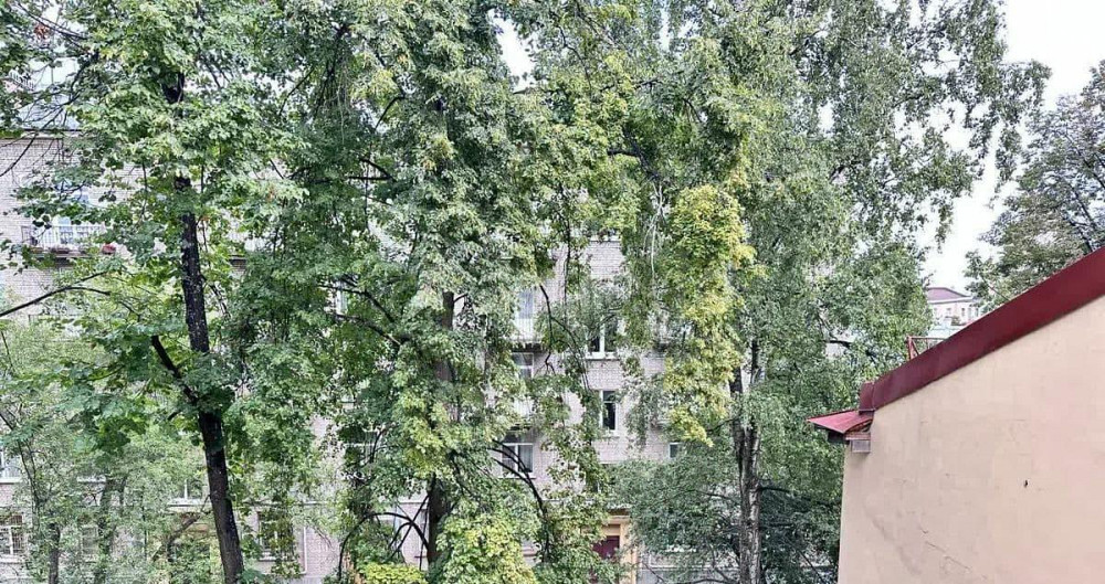 4-комн. квартира, 100 м2, 4/6 эт. Санкт-Петербург - изображение 6