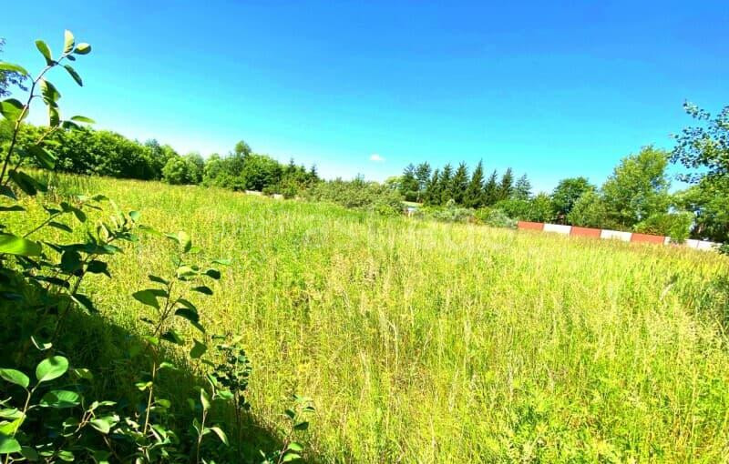 Земельный участок, 21 сотка Егорьевск - изображение 6