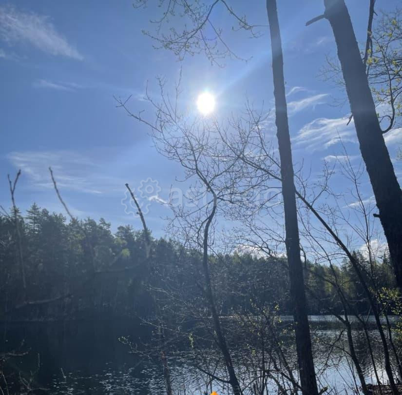 Земельный участок, 8.7 сотки Королев - изображение 4