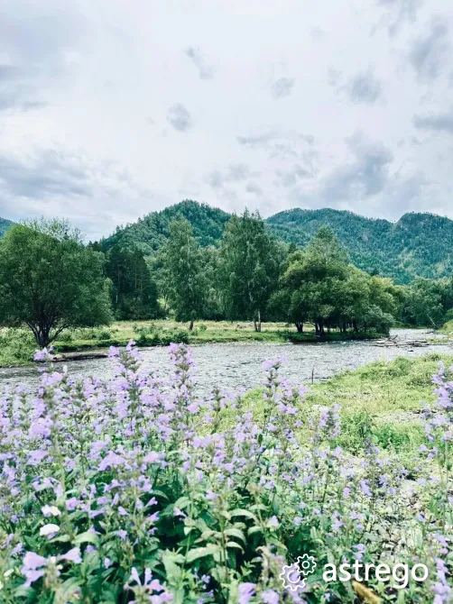 Участок, ИЖС, 25.7 сот. Горно-Алтайск - изображение 5