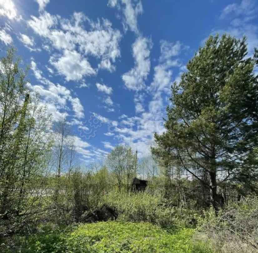 Земельный участок, 9.64 га Котлас - изображение 5