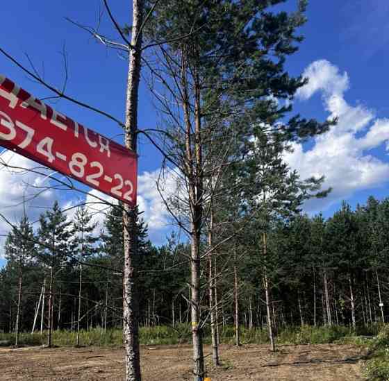 Земельный участок, 8 соток Раменское