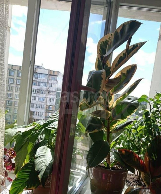 Комната, 13.4 м2, 8/9 эт. Белгород - изображение 2