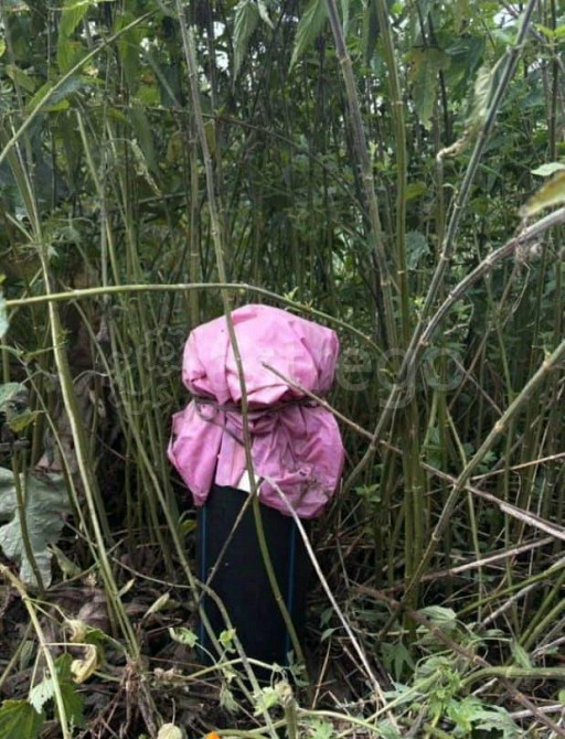 Земельный участок, 15.09 сотки Чишмы - изображение 7