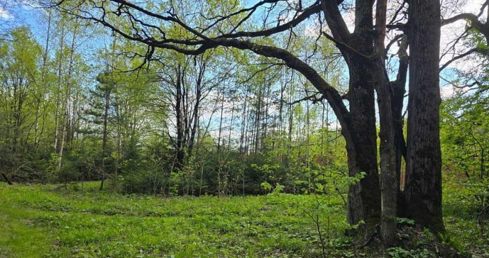 Земельный участок, 15 соток Химки - изображение 1