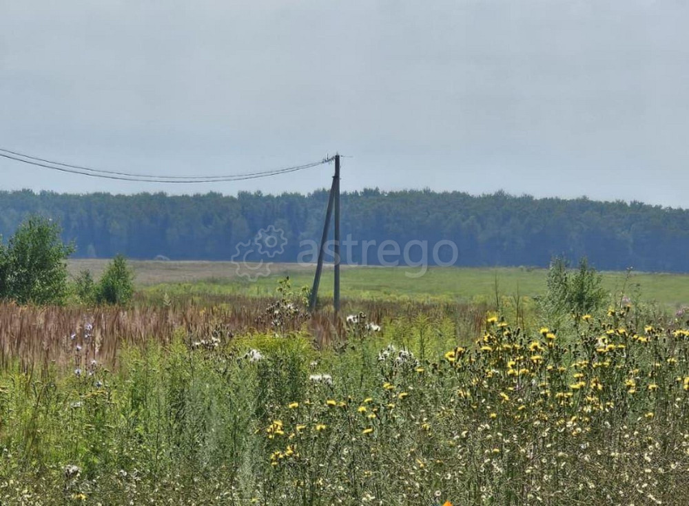 Земельный участок, 13.72 сотки Луховицы - изображение 1