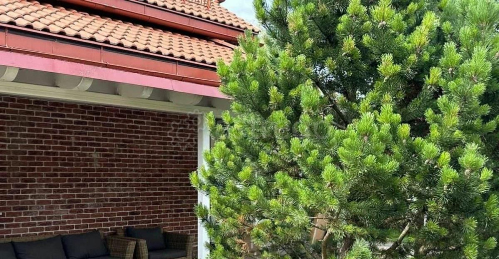 Коттедж, 320 м2, 14 соток, 2 эт. Можайск - изображение 5