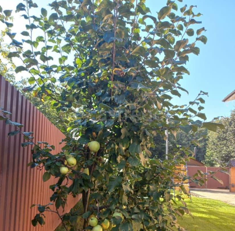 Коттедж, 397 м2, 15.3 сотки, 2 эт. Дедовск - изображение 7