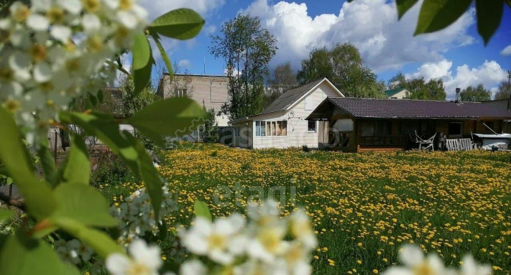 Дом, 41 м2, 13 соток, 1 эт. Коряжма - изображение 4