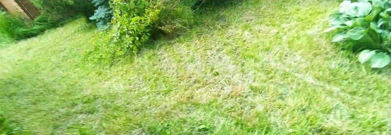 Дача, 45 м2 Москва - изображение 6