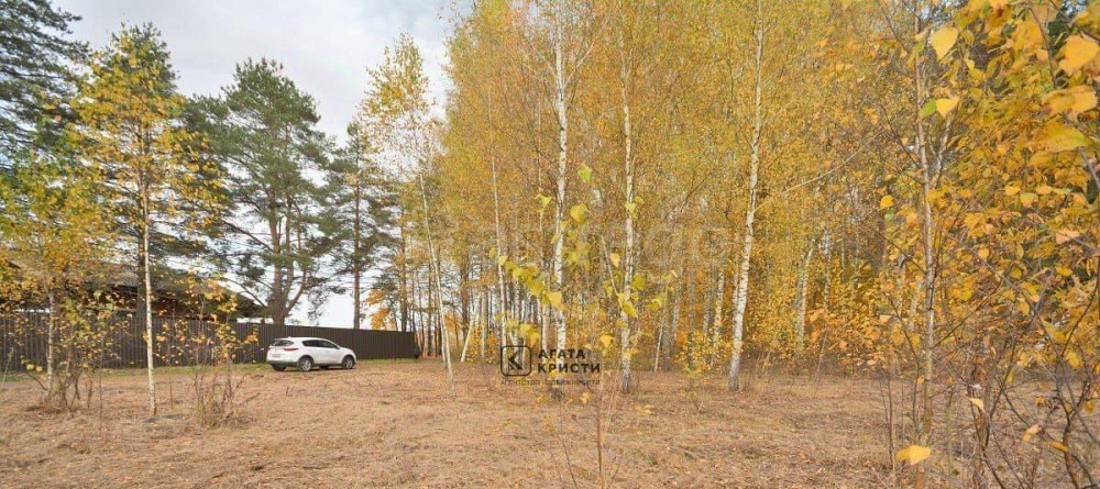 Земельный участок, 11.66 сотки Павловский Посад - изображение 6