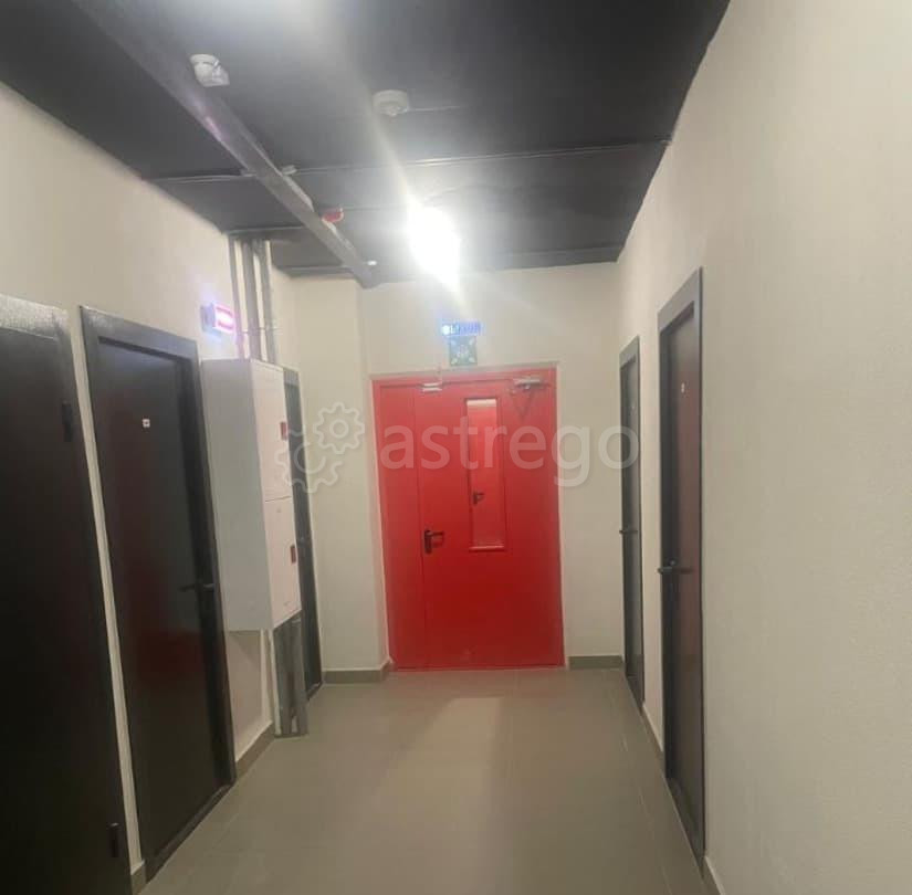 Студия, 24.4 м2, 10/17 эт. Лыткарино - изображение 3