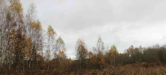 Земельный участок, 13.9 сотки Шаховская