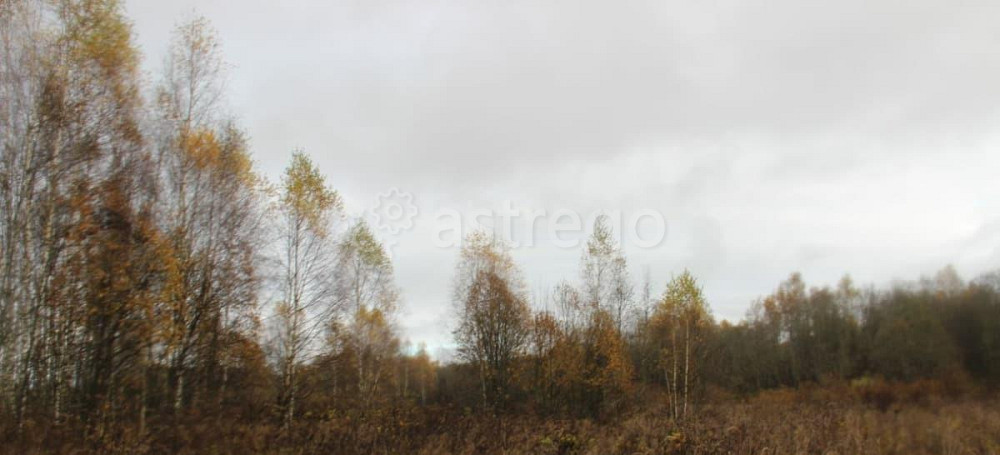 Земельный участок, 13.9 сотки Шаховская - изображение 1