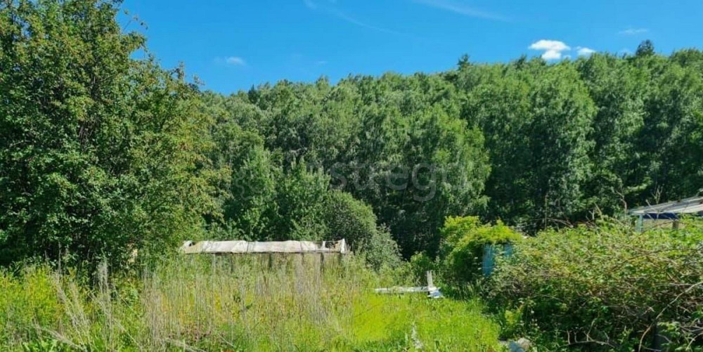 Дом, 20 м2, 11 соток, 1 эт. Березовка - изображение 7