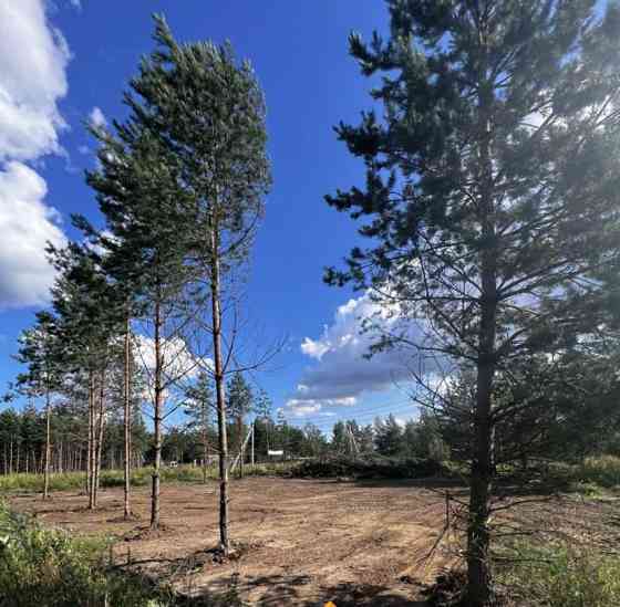 Земельный участок, 8 соток Раменское