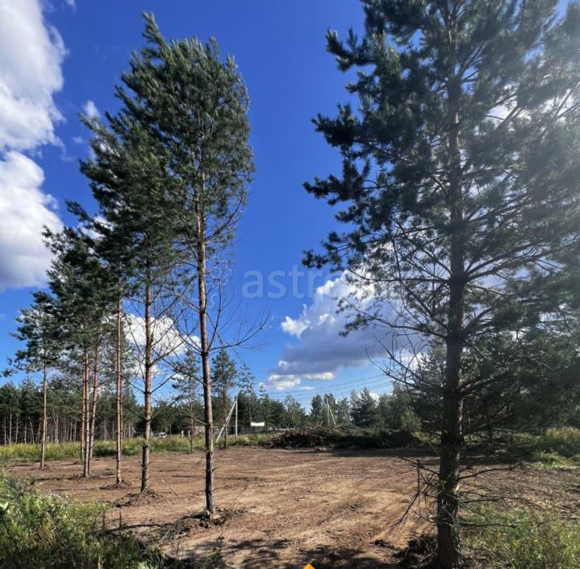 Земельный участок, 8 соток Раменское - изображение 1