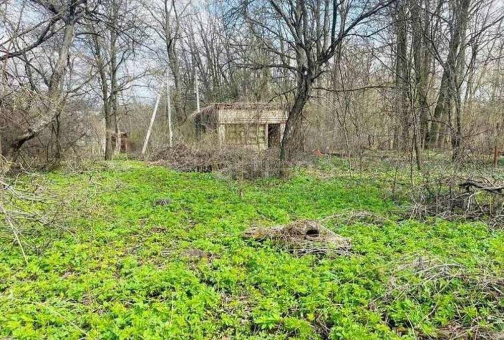 Дача, 25 м2, 4.5 сотки Стрелецкое - изображение 3