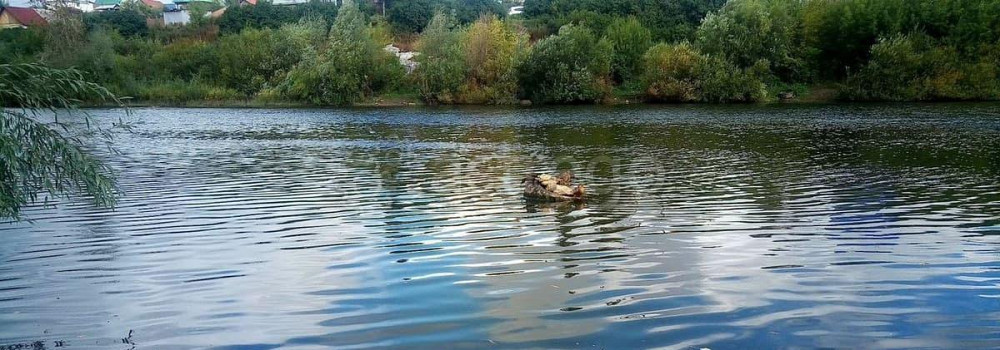 5-комн. квартира, 140 м2, 2/2 эт. Белорецк - изображение 6