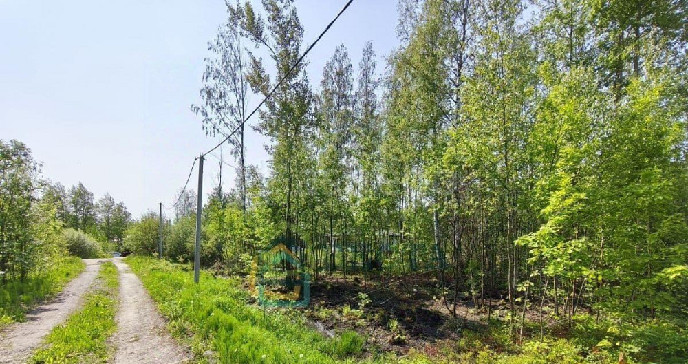 Земельный участок, 12 соток Санкт-Петербург - изображение 6