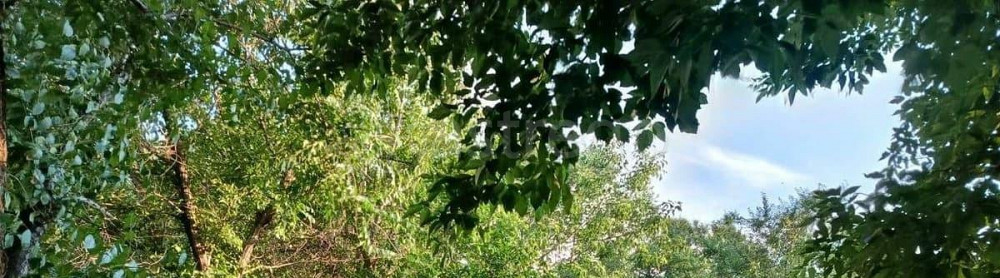 Дом, 39.3 м2, 8 соток, 1 эт. Благовещенск - изображение 2