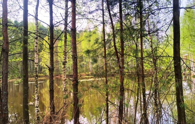 Дача, 60 м2, 6 соток Орехово-Зуево - изображение 7