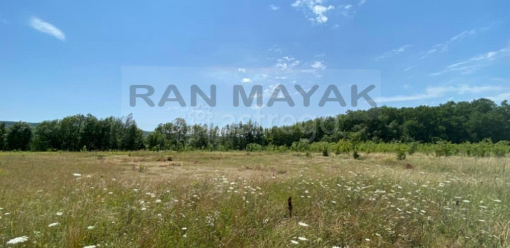 Коммерческий участок, 72.7 га Тульский - изображение 2