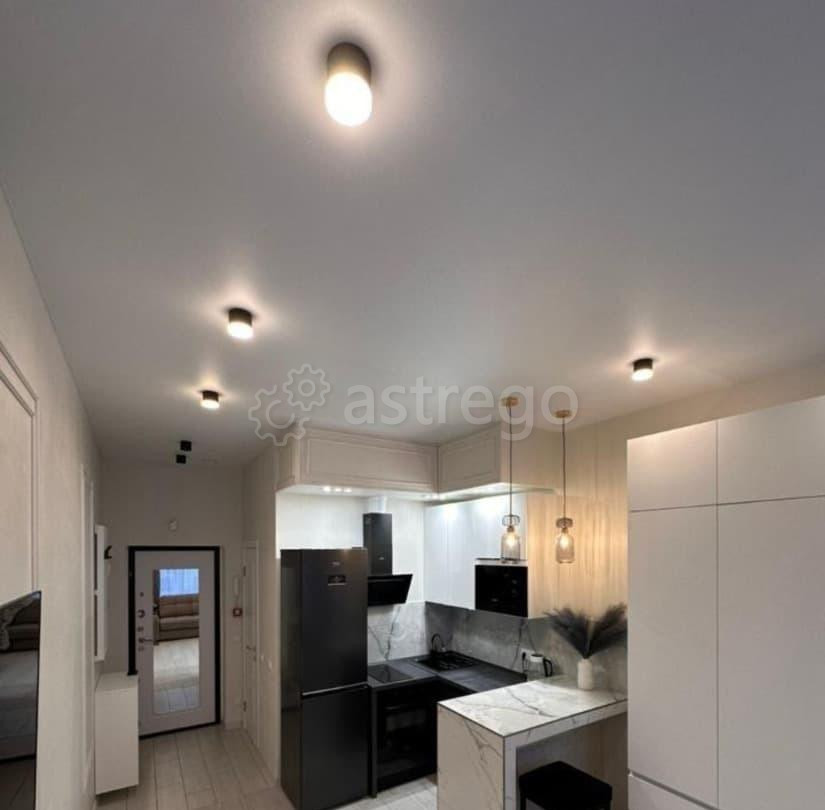 Студия, 24 м2, 11/17 эт. Красногорск - изображение 3