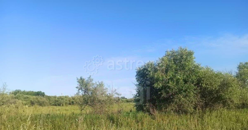 Земельный участок, 20 соток Благовещенск - изображение 4
