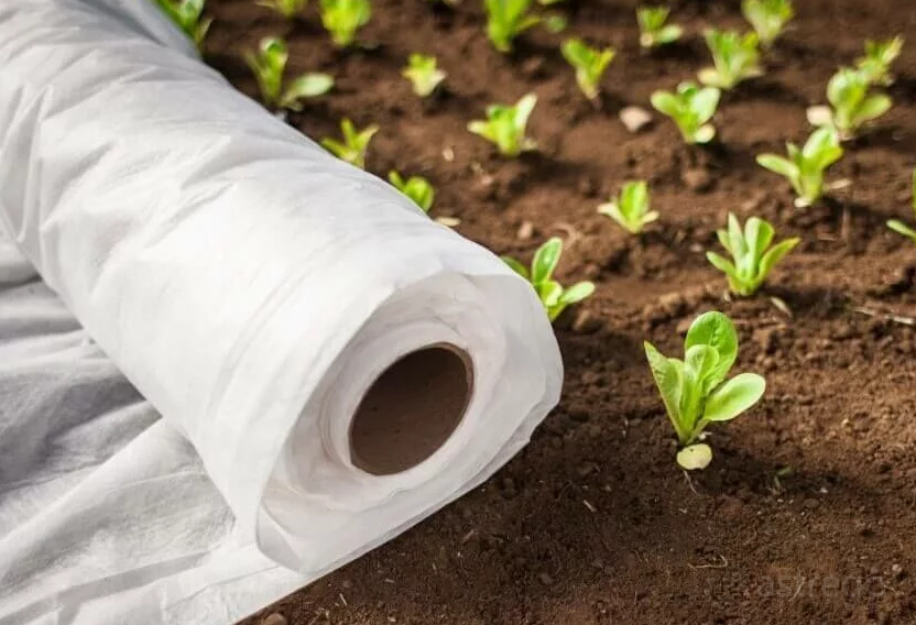 Спанбонд Ландшафтный 17 г/м² 3.2*10 м (Белый) Омск - изображение 1