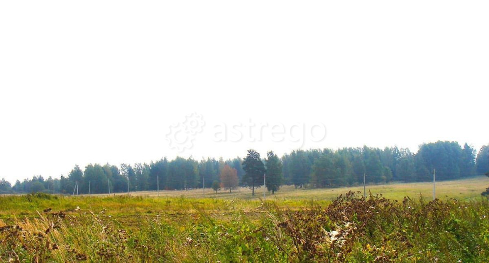 Земельный участок, 20 соток Шаховская - изображение 7